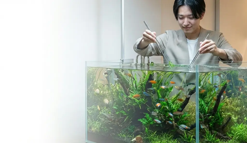 VI SYDNEY SHRIMPS-SERVICE-CONSULTATION-AQUARIUM